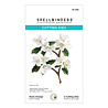Spellbinders Mock Orange Etched Dies (S3-496) (DISCONTINUED) Spellbinders Mock Orange Etched Dies (S3-496) (DISCONTINUED)