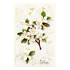 Spellbinders Mock Orange Etched Dies (S3-496) (DISCONTINUED) Spellbinders Mock Orange Etched Dies (S3-496) (DISCONTINUED)