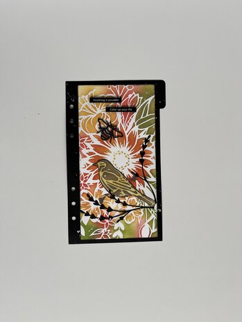 Pronty Crafts Beautiful Butterfly A5 Grey Chipboard Birds (492.001.057) (DISCONTINUED) Pronty Crafts Beautiful Butterfly A5 Grey Chipboard Birds (492.001.057) (DISCONTINUED)