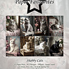 Paper Favourites Shabby Cats A5 Paper Pack (PFA125) (DISCONTINUED) Paper Favourites Shabby Cats A5 Paper Pack (PFA125) (DISCONTINUED)