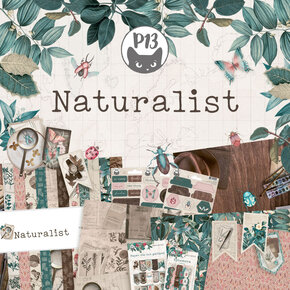 Naturalist