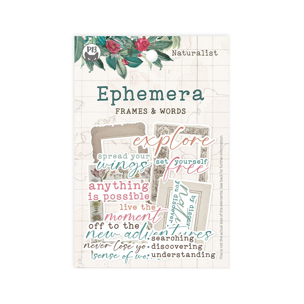 P13 Naturalist Ephemera Frames and Words (13pcs) (P13-NAT-37) (DISCONTINUED)