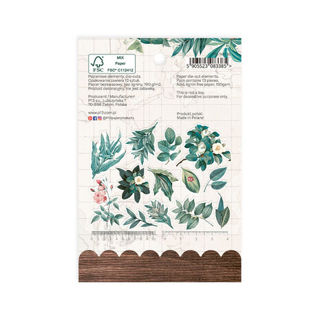 P13 Naturalist Ephemera Flowers and Leaves (13pcs) (P13-NAT-26) (OUTLET) P13 Naturalist Ephemera Flowers and Leaves (13pcs) (P13-NAT-26) (OUTLET)