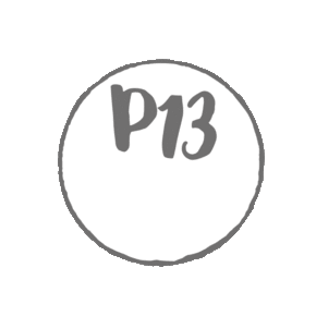P13