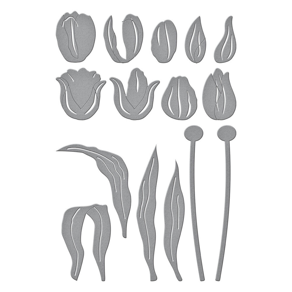 Spellbinders Tulip Trio Etched Dies (S6-234)