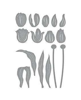 Spellbinders Tulip Trio Etched Dies (S6-234) (DISCONTINUED)