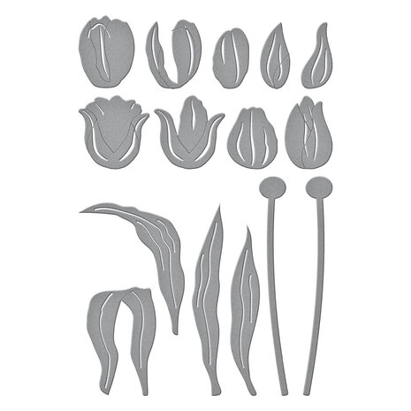 Spellbinders Tulip Trio Etched Dies (S6-234)
