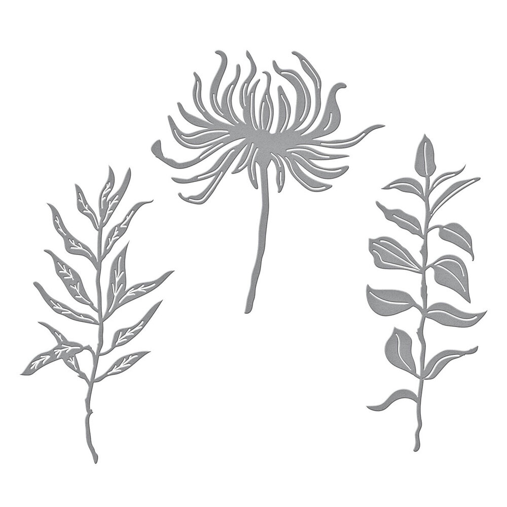 Spellbinders Everyday Foliage Etched Dies (S4-1339)