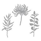 Spellbinders Everyday Foliage Etched Dies (S4-1339)