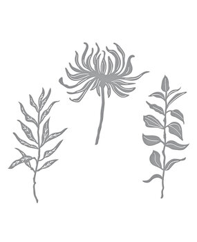 Spellbinders Everyday Foliage Etched Dies (S4-1339)