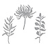 Everyday Foliage Etched Dies (S4-1339) Everyday Foliage Etched Dies (S4-1339)