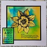 IndigoBlu Big Daffodil A6 Rubber Stamps (IND1270) (DISCONTINUED) IndigoBlu Big Daffodil A6 Rubber Stamps (IND1270) (DISCONTINUED)