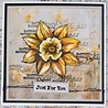IndigoBlu Big Daffodil A6 Rubber Stamps (IND1270) (DISCONTINUED) IndigoBlu Big Daffodil A6 Rubber Stamps (IND1270) (DISCONTINUED)