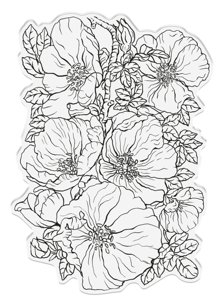 Crafter's Companion In the Frame Bold Florals Clear Stamp Wild Roses (SD-ITF-BF-STP-WR) (DISCONTINUED) Crafter's Companion In the Frame Bold Florals Clear Stamp Wild Roses (SD-ITF-BF-STP-WR) (DISCONTINUED)