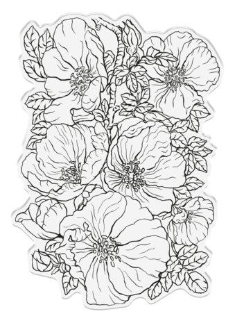 Crafter's Companion In the Frame Bold Florals Clear Stamp Wild Roses (SD-ITF-BF-STP-WR) (DISCONTINUED) Crafter's Companion In the Frame Bold Florals Clear Stamp Wild Roses (SD-ITF-BF-STP-WR) (DISCONTINUED)