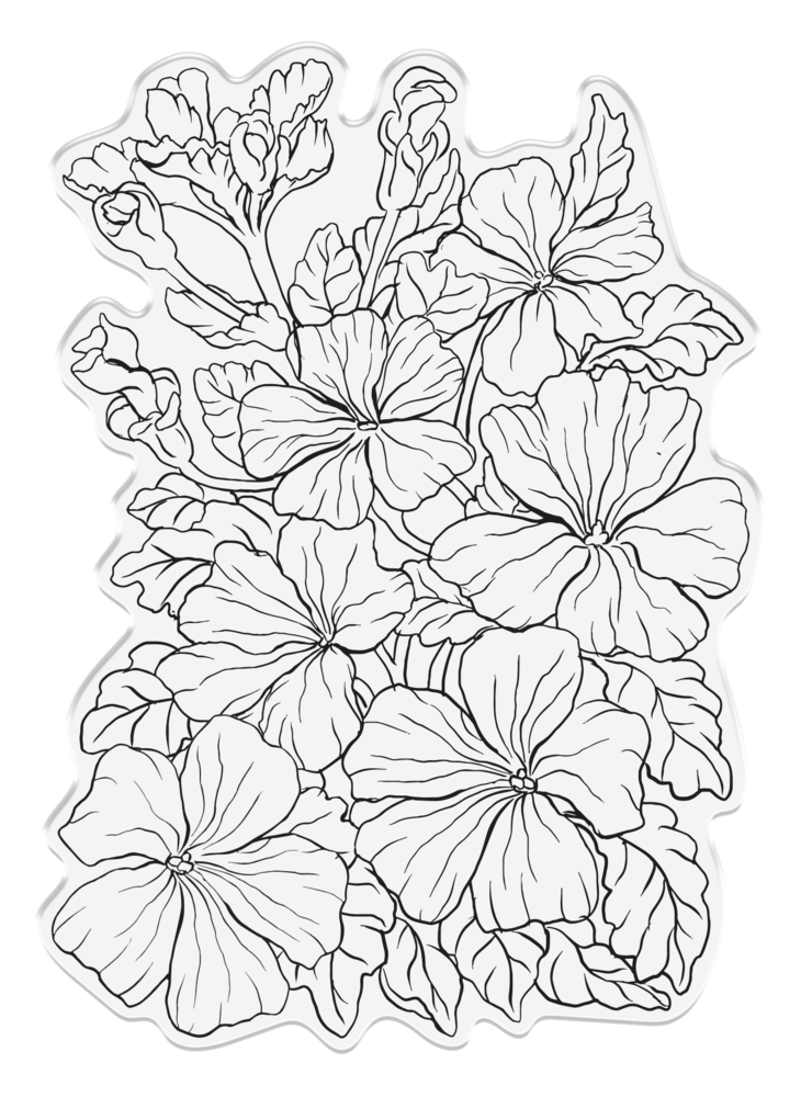 Crafter's Companion In the Frame Bold Florals Clear Stamp Pretty Petunias (SD-ITF-BF-STP-PP) (DISCONTINUED) Crafter's Companion In the Frame Bold Florals Clear Stamp Pretty Petunias (SD-ITF-BF-STP-PP) (DISCONTINUED)