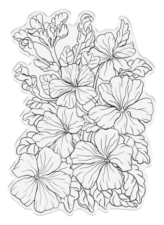 Crafter's Companion In the Frame Bold Florals Clear Stamp Pretty Petunias (SD-ITF-BF-STP-PP) (DISCONTINUED) Crafter's Companion In the Frame Bold Florals Clear Stamp Pretty Petunias (SD-ITF-BF-STP-PP) (DISCONTINUED)
