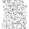 Crafter's Companion In the Frame Bold Florals Clear Stamp Pretty Petunias (SD-ITF-BF-STP-PP) Crafter's Companion In the Frame Bold Florals Clear Stamp Pretty Petunias (SD-ITF-BF-STP-PP)