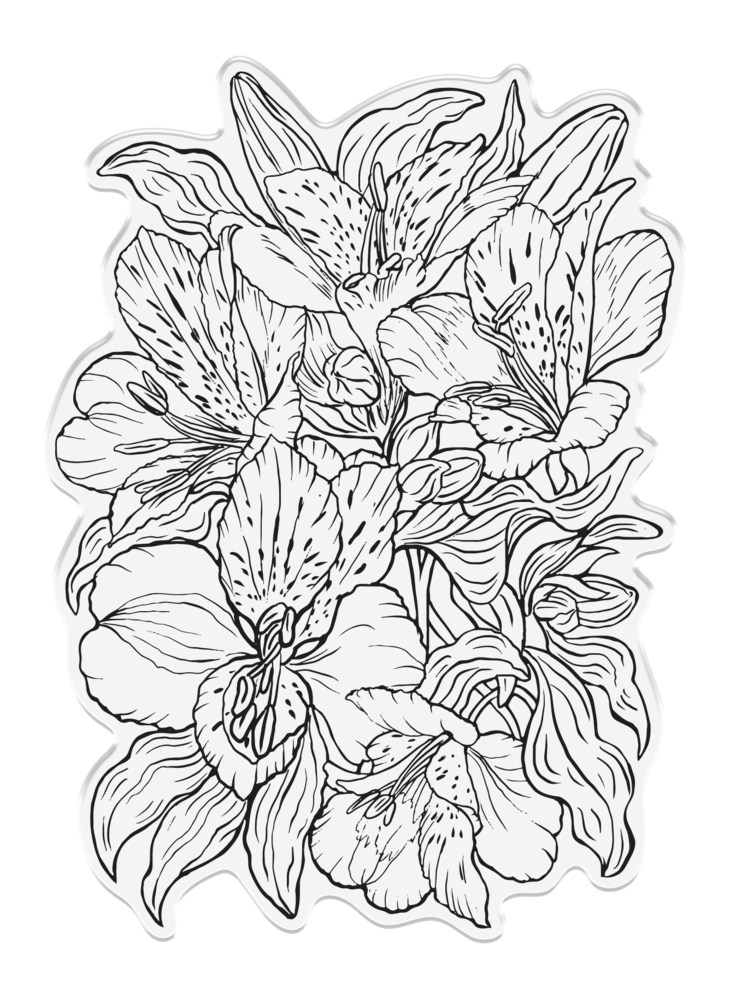 Crafter's Companion In the Frame Bold Florals Clear Stamp Luscious Lillies (SD-ITF-BF-STP-LL) (DISCONTINUED) Crafter's Companion In the Frame Bold Florals Clear Stamp Luscious Lillies (SD-ITF-BF-STP-LL) (DISCONTINUED)