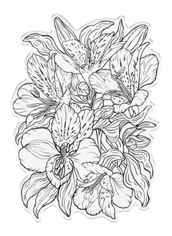 Crafter's Companion In the Frame Bold Florals Clear Stamp Luscious Lillies (SD-ITF-BF-STP-LL) (DISCONTINUED) Crafter's Companion In the Frame Bold Florals Clear Stamp Luscious Lillies (SD-ITF-BF-STP-LL) (DISCONTINUED)