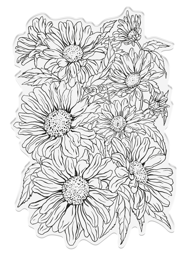 Crafter's Companion In the Frame Bold Florals Clear Stamp Delightful Daisies (SD-ITF-BF-STP-DD) (DISCONTINUED) Crafter's Companion In the Frame Bold Florals Clear Stamp Delightful Daisies (SD-ITF-BF-STP-DD) (DISCONTINUED)