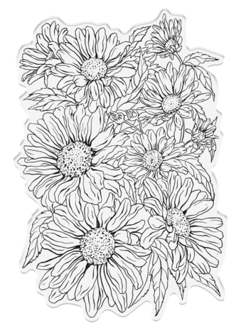 Crafter's Companion In the Frame Bold Florals Clear Stamp Delightful Daisies (SD-ITF-BF-STP-DD) (DISCONTINUED) Crafter's Companion In the Frame Bold Florals Clear Stamp Delightful Daisies (SD-ITF-BF-STP-DD) (DISCONTINUED)