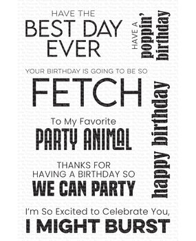 My Favorite Things Best Day Ever Clear Stamps (CS-864) (DISCONTINUED)
