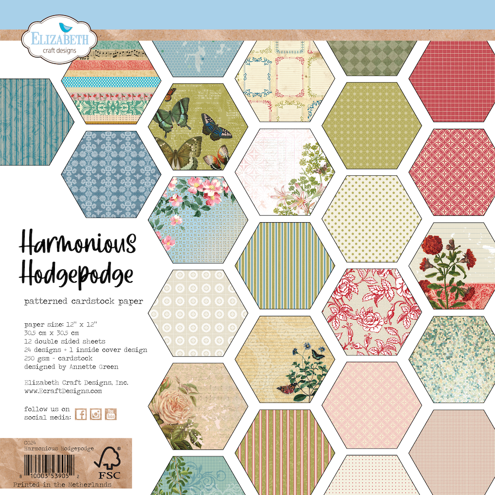 Elizabeth Craft Designs This Lovely Life 12x12 Inch Patterned Cardstock Paper Harmonious Hodgepodge (C024) (DISCONTINUED)