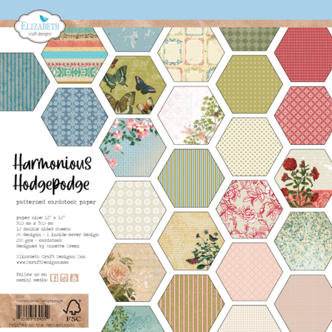 Elizabeth Craft Designs This Lovely Life 12x12 Inch Patterned Cardstock Paper Harmonious Hodgepodge (C024) (DISCONTINUED)