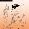 Studio Light Botanical Elements Grunge Stamps (SL-GR-STAMP606) Studio Light Botanical Elements Grunge Stamps (SL-GR-STAMP606)