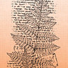 Studio Light Fern Background Grunge Stamps (SL-GR-STAMP603) Studio Light Fern Background Grunge Stamps (SL-GR-STAMP603)