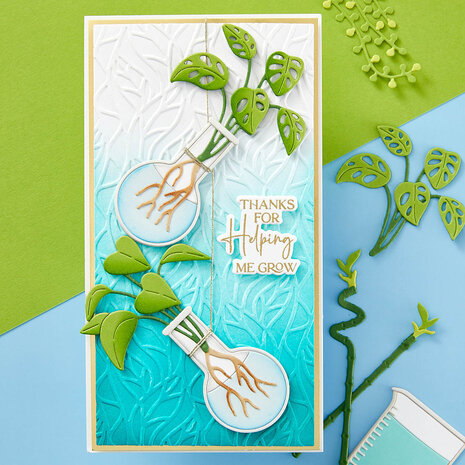 Spellbinders Propagation Garden Sentiments Stamp & Die Cutting Set (SDS-189) (OUTLET) Spellbinders Propagation Garden Sentiments Stamp & Die Cutting Set (SDS-189) (OUTLET)