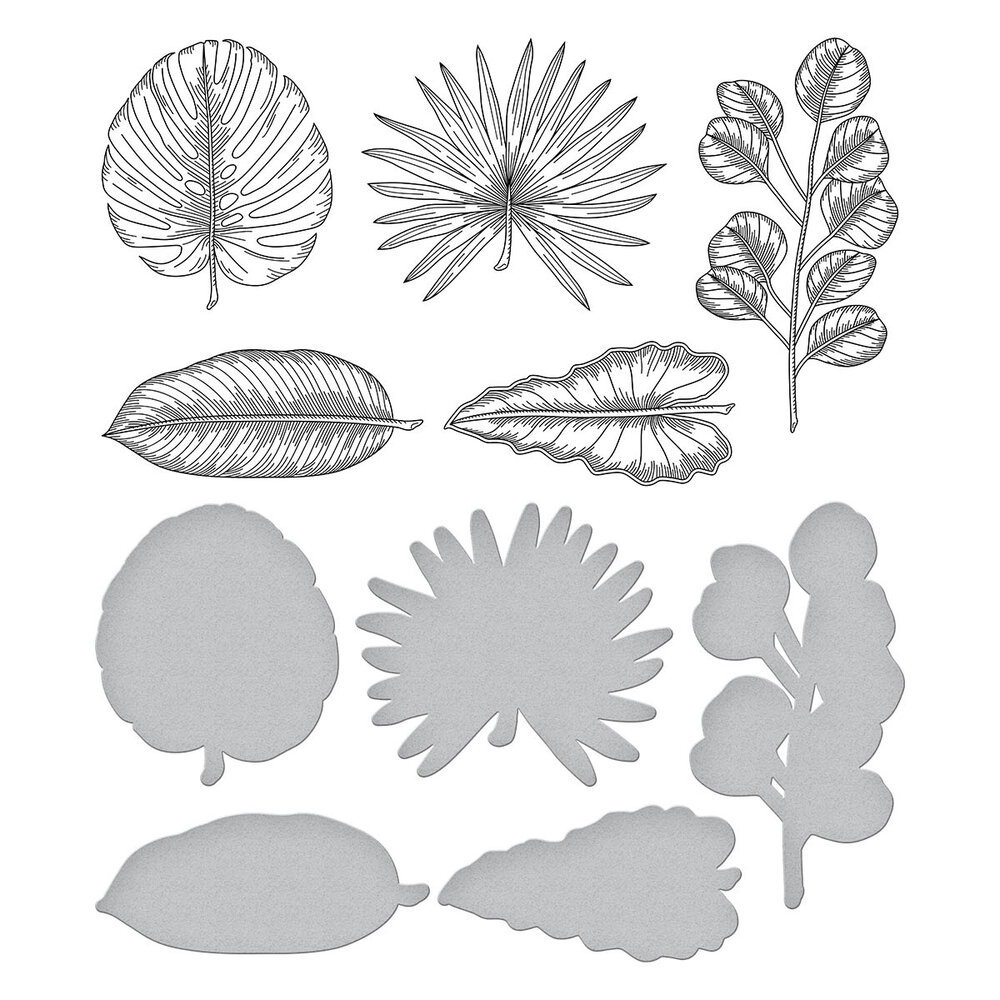 Spellbinders Tropical Leaves Press Plate & Die Set (BP-155) (OUTLET) Spellbinders Tropical Leaves Press Plate & Die Set (BP-155) (OUTLET)