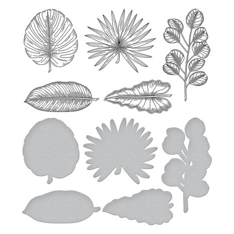 Spellbinders Tropical Leaves Press Plate & Die Set (BP-155) (OUTLET) Spellbinders Tropical Leaves Press Plate & Die Set (BP-155) (OUTLET)