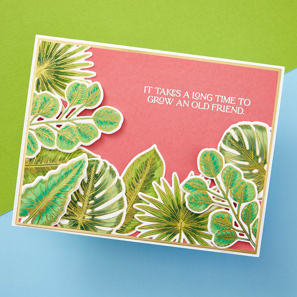 Spellbinders Tropical Leaves Press Plate & Die Set (BP-155) (OUTLET) Spellbinders Tropical Leaves Press Plate & Die Set (BP-155) (OUTLET)