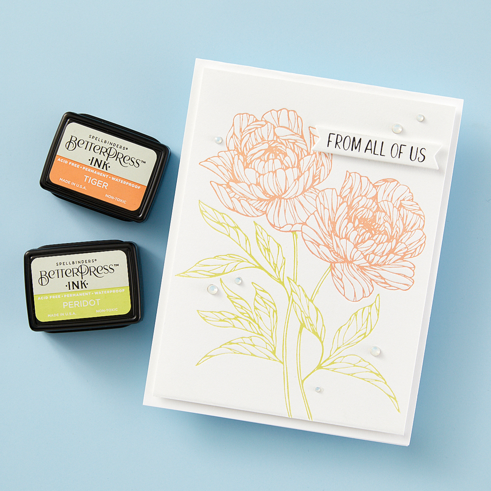 Spellbinders Cheers to You Sentiments Press Plate & Die Set (BP-162) Spellbinders Cheers to You Sentiments Press Plate & Die Set (BP-162)