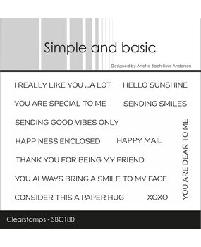 Simple and Basic You Are Special to Me A7 Clear Stamp (SBC180) (DISCONTINUED)