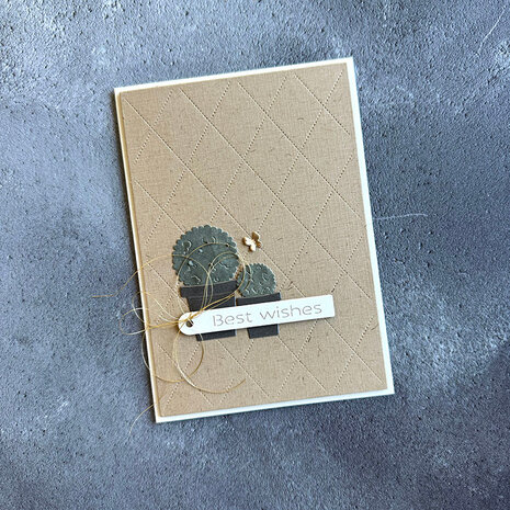 Simple and Basic Plants and Sterms Dies (SBD432) (OUTLET)