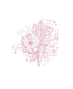 Sizzix Framelits Die w/Stamps by 49 and Market A5 Floral Mix Cluster (1+1pcs) (666632)