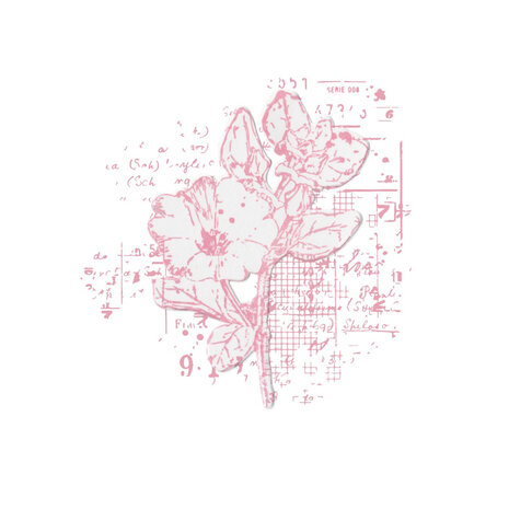 Sizzix Framelits Die w/Stamps by 49 and Market A5 Floral Mix Cluster (1+1pcs) (666632)