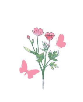 Sizzix Framelits w/Stamps by 49 and Market A5 Painted Pencil Botanical (7+1pcs) (666635) (DISCONTINUED)