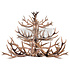 Antler Chandelier 24x35 Inch Decor Transfers (2pcs) (669843) (DISCONTINUED) Antler Chandelier 24x35 Inch Decor Transfers (2pcs) (669843) (DISCONTINUED)