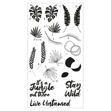 Sizzix Clear Stamps by Catherine Pooler Stay Wild (18pcs) (666660) (DISCONTINUED)