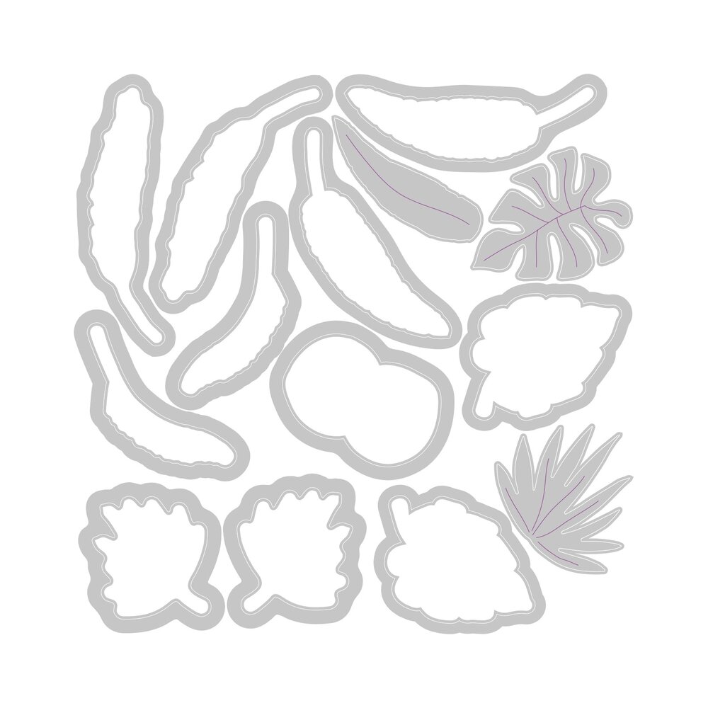 Sizzix Framelits Die by Catherine Pooler Stay Wild #2 (14pcs) (666661) (DISCONTINUED)