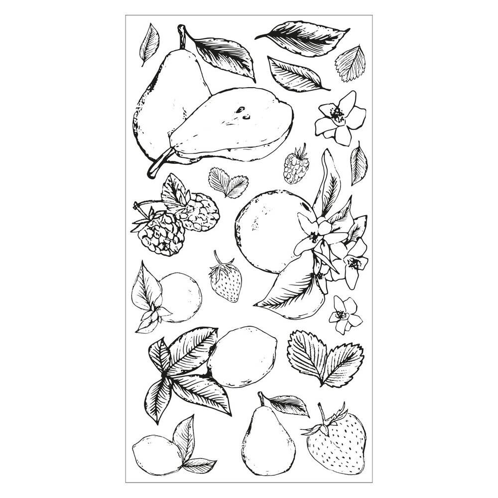 Sizzix Clear Stamps by Lisa Jones Botanical Fruit (19pcs) (666611)