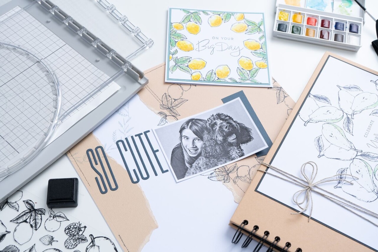 Sizzix Clear Stamps by Lisa Jones Botanical Fruit (19pcs) (666611)