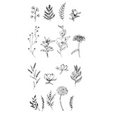 Sizzix Clear Stamps by Lisa Jones Garden Botanicals (17pcs) (666641)