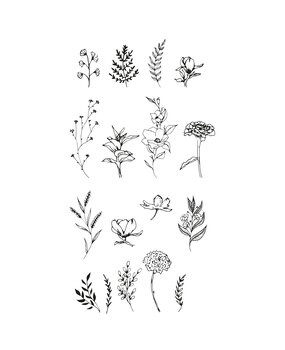 Sizzix Clear Stamps by Lisa Jones Garden Botanicals (17pcs) (666641)
