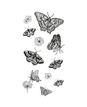 Sizzix Clear Stamps by Lisa Jones Nature Butterflies (13pcs) (666642) Sizzix Clear Stamps by Lisa Jones Nature Butterflies (13pcs) (666642)