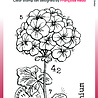 Woodware Mini Geranium Clear Stamps (FRM079) (OUTLET) Woodware Mini Geranium Clear Stamps (FRM079) (OUTLET)